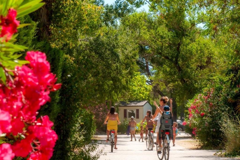 mobil home tout confort 6 personnes climatisé au pied du Luberon La Roque-d'Antheron Esterno foto