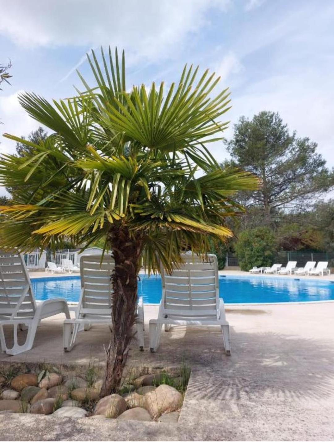mobil home tout confort 6 personnes climatisé au pied du Luberon La Roque-d'Antheron Esterno foto